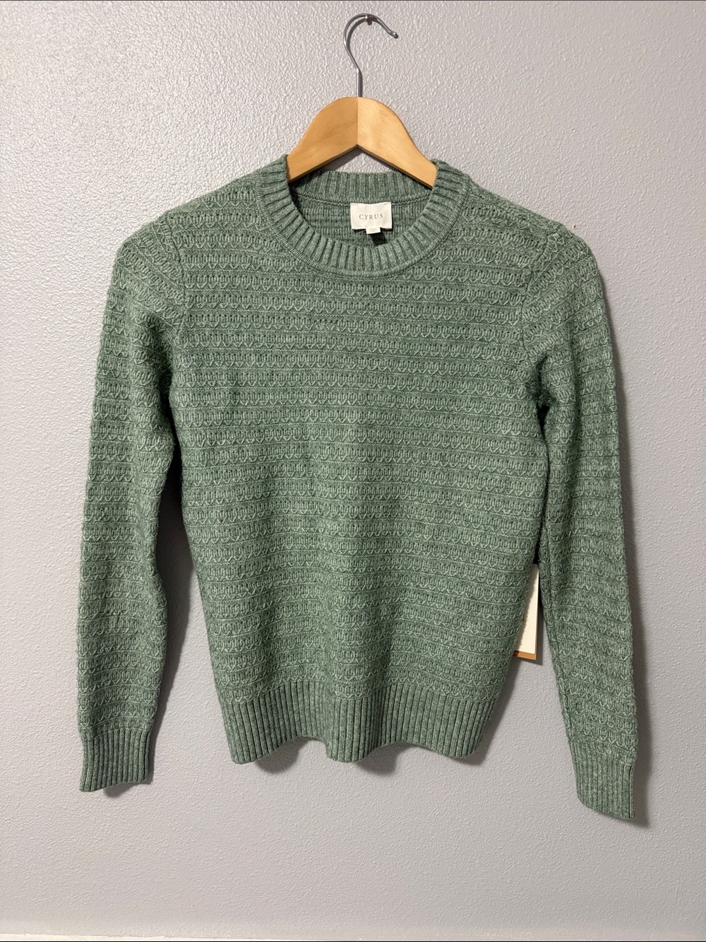 Cyrus Textured Crewneck Sweater in Sage Sz XS NWT